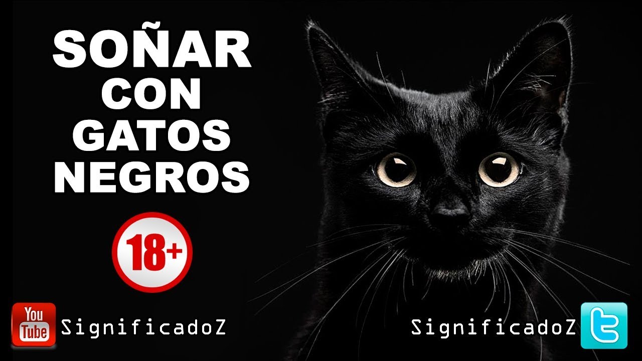 un gato negro que significado tiene este sueno