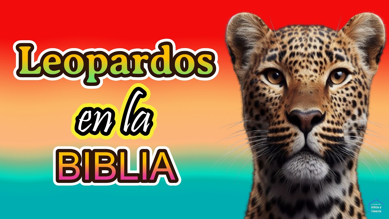 un leopardo significado y simbolismo