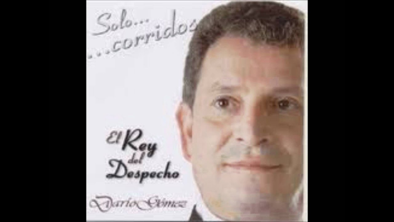 una misteriosa ave negra