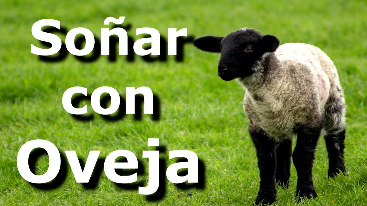 una oveja herida que significa este sueno