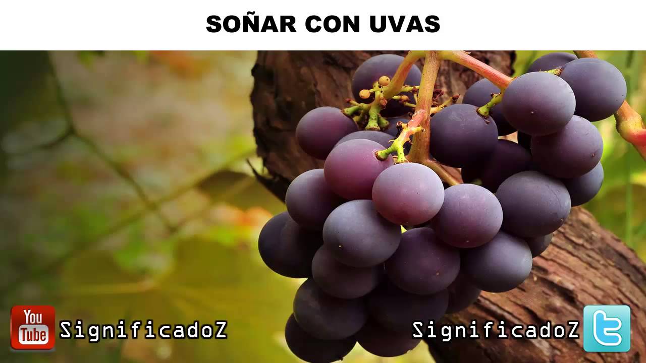 uvas que numero juega