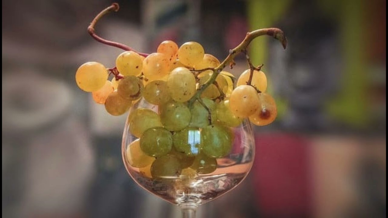 uvas segun la biblia significado y simbolismo