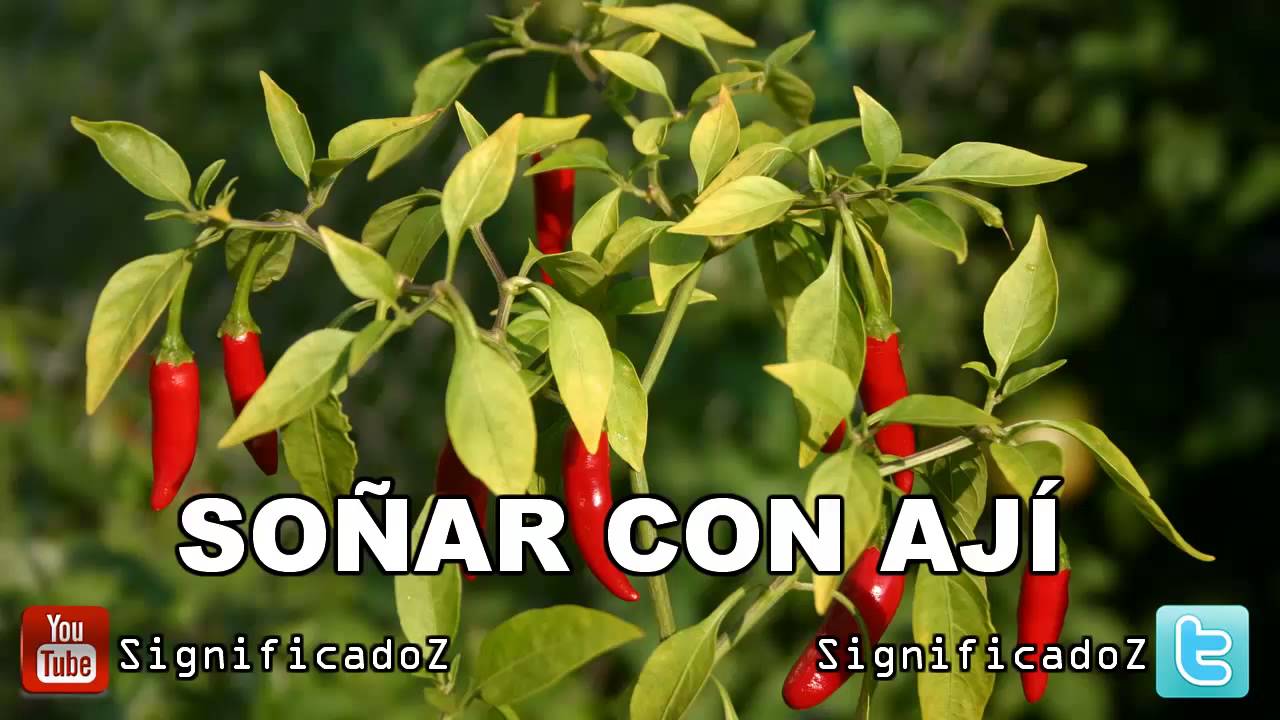 aji que significa este picante sueno