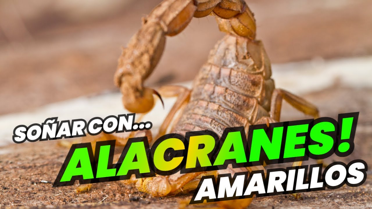 alacranes amarillos que significa este sueno