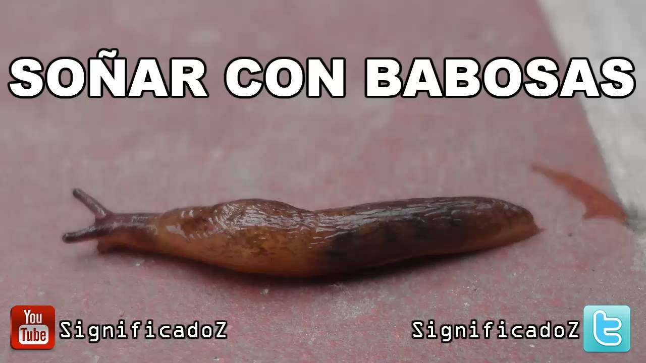 babosas que significado tiene este sueno