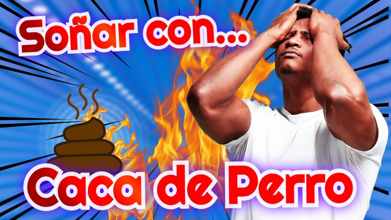 caca de perro que significa este sueno