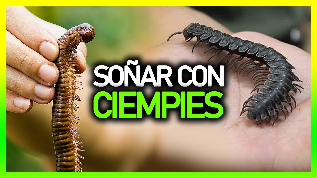 ciempies en el cuerpo que significa este extrano sueno