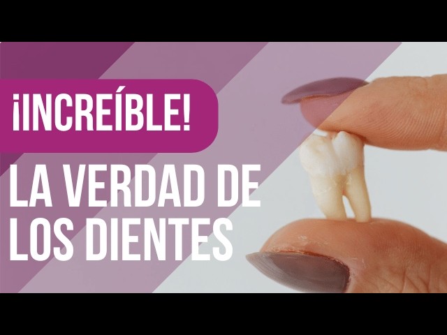 dientes en la mano que significa este extrano sueno
