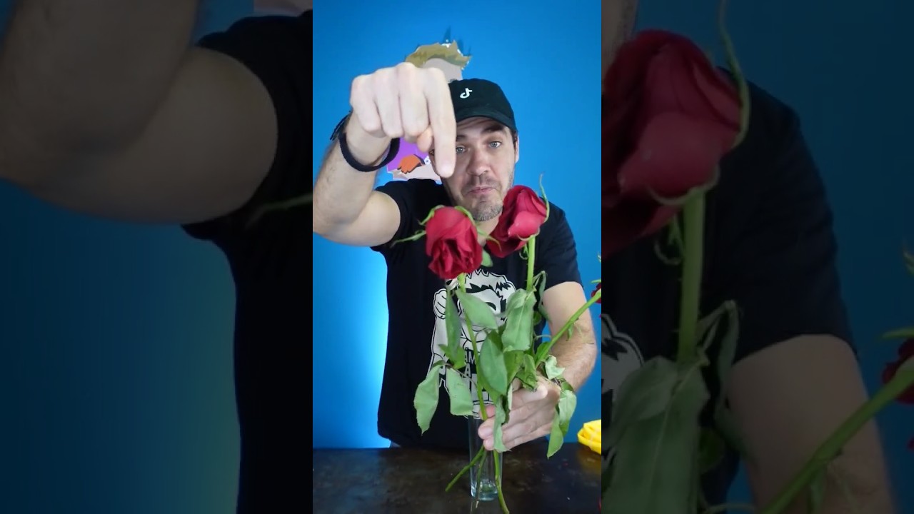 flores marchitas una senal de cambio y renovacion