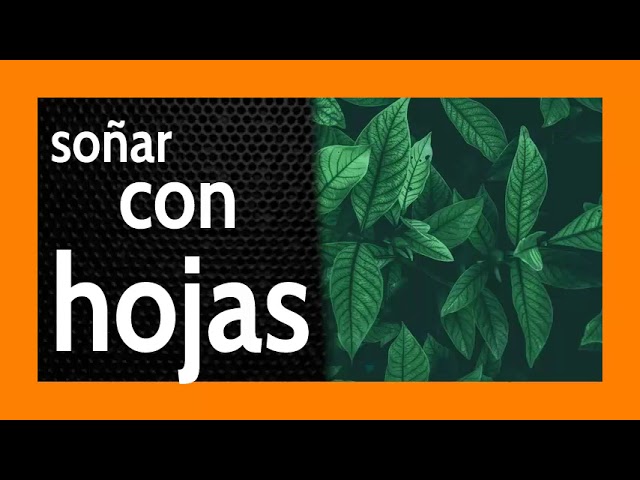 hojas de zinc que significado tiene este sueno