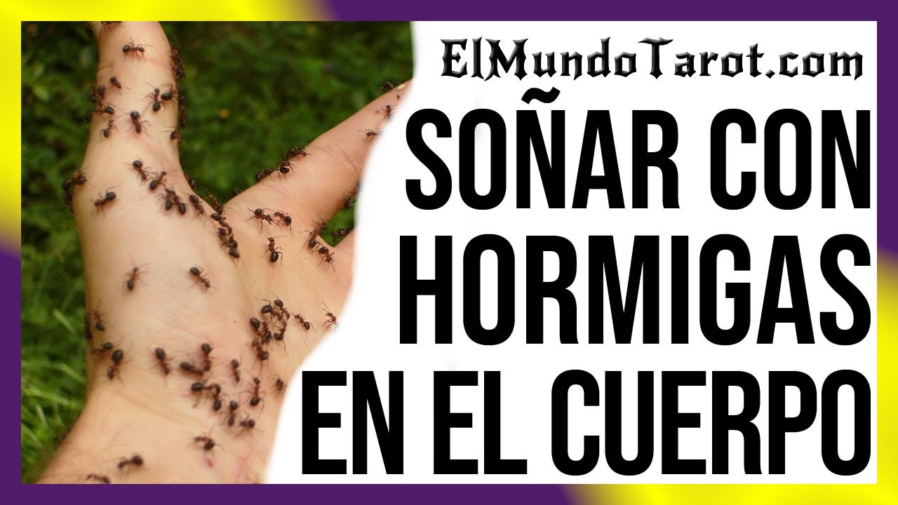 hormigas en el cuerpo que significa este sueno inquietante