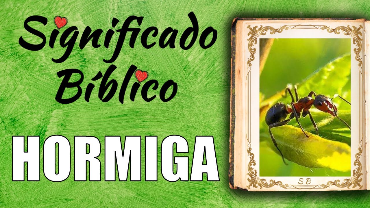 hormigas segun la biblia una interpretacion reveladora