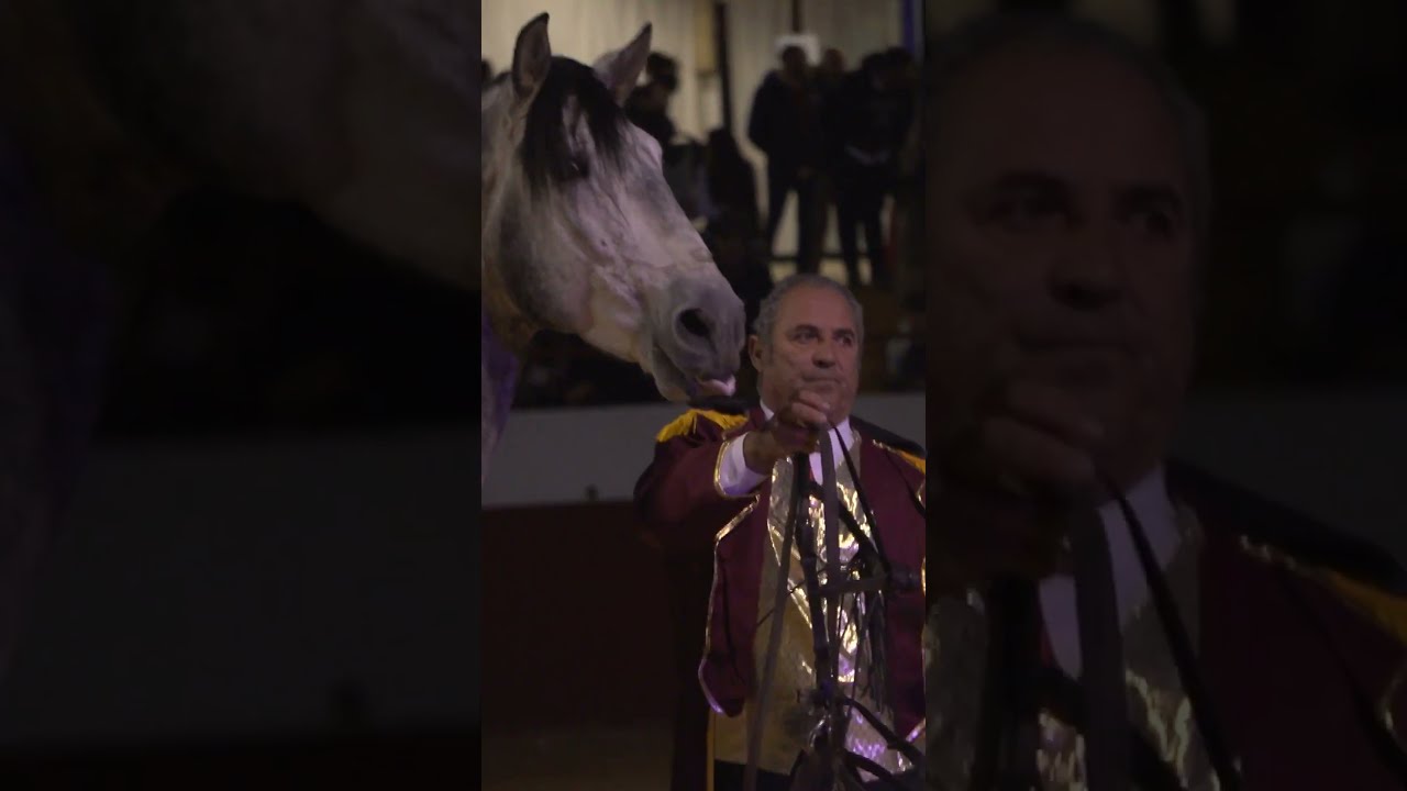 jinetes a caballo una aventura ecuestre en tus suenos