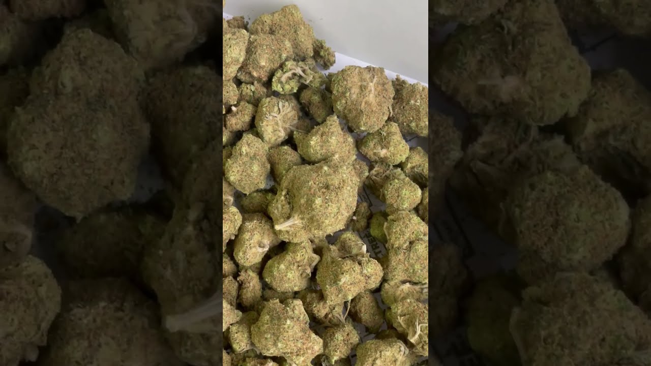 la deliciosa variedad de cannabis zkittlez