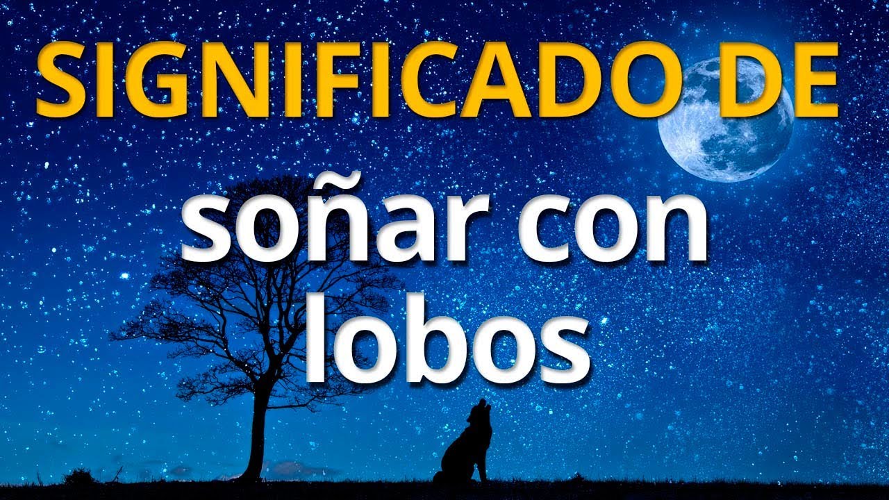 lobos significado y simbolismo de este sueno