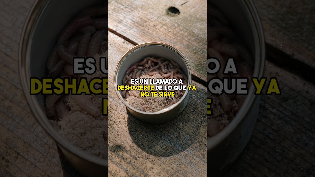 lombrices que significa este inquietante sueno