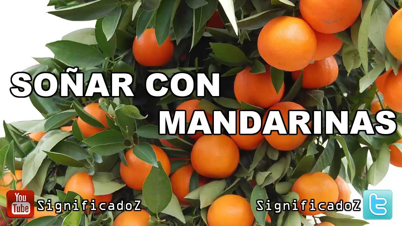 mandarinas significado y simbolismo