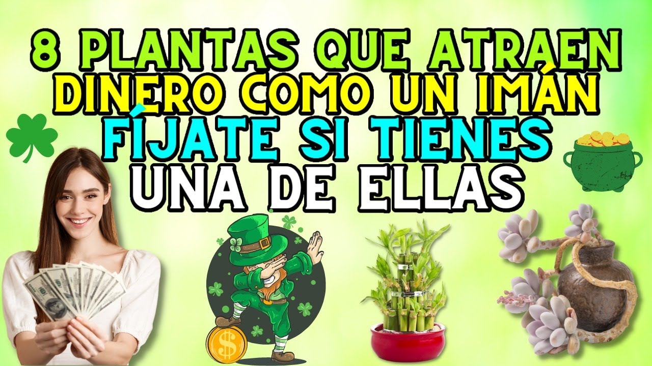 plantas de name una senal de abundancia y prosperidad