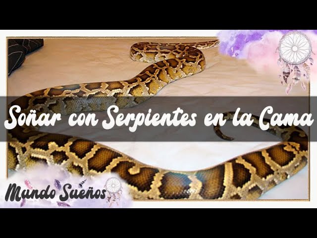 serpientes bajo la cama que significa este sueno