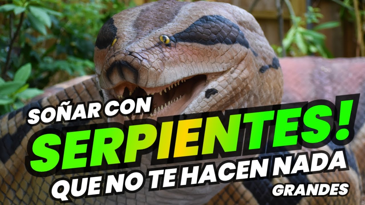 serpientes de cabeza grande que significa este sueno