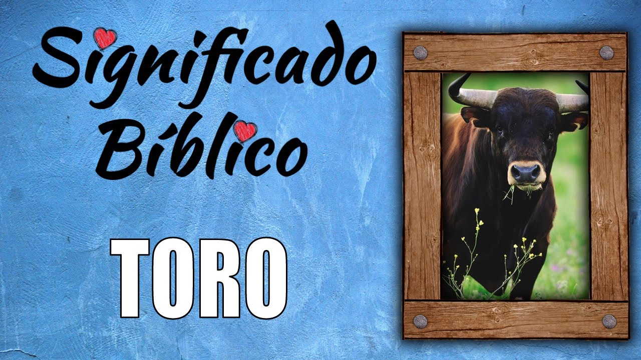 toro segun la biblia significado y simbolismo