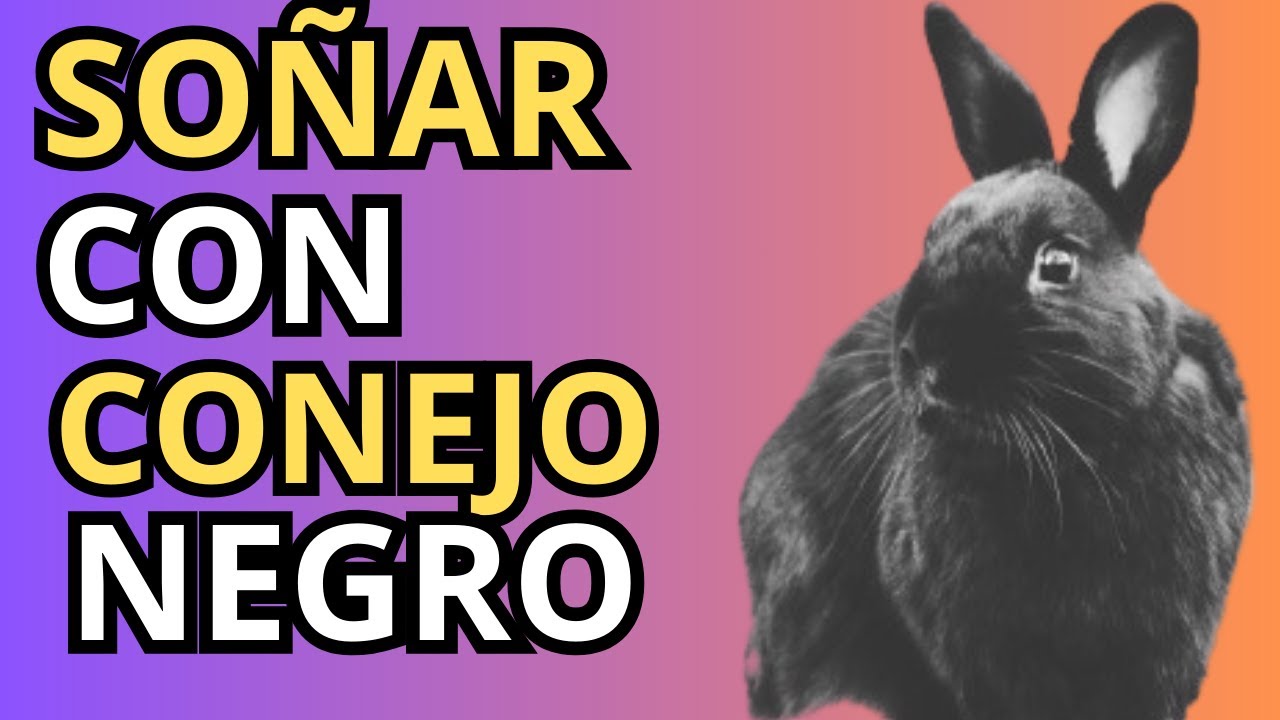 un conejo negro que significa este sueno