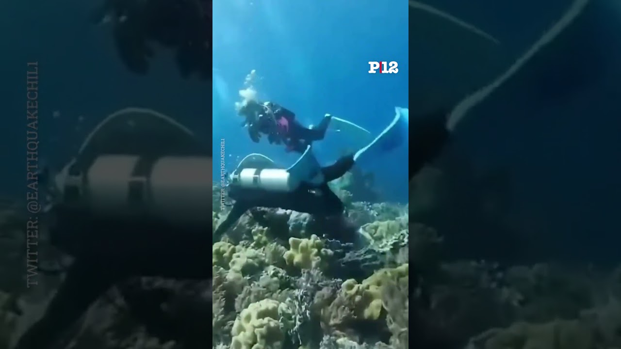 un terremoto bajo el agua una experiencia inquietante y misteriosa