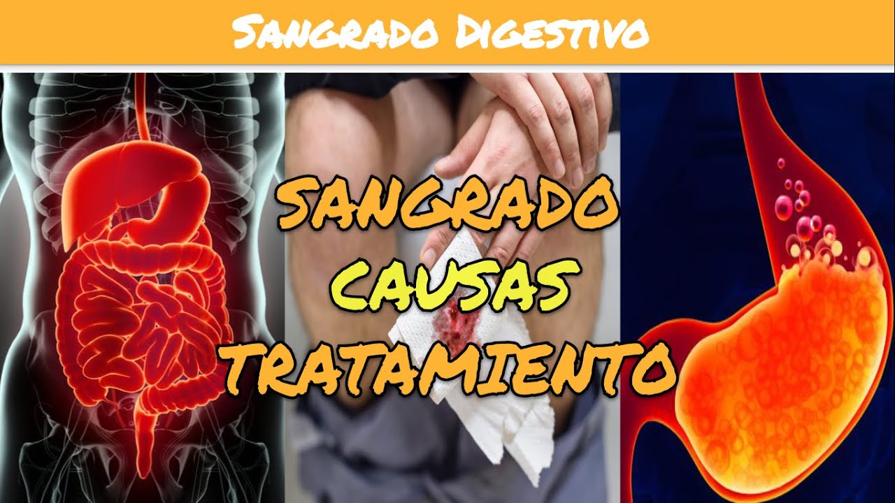 un wc con sangre
