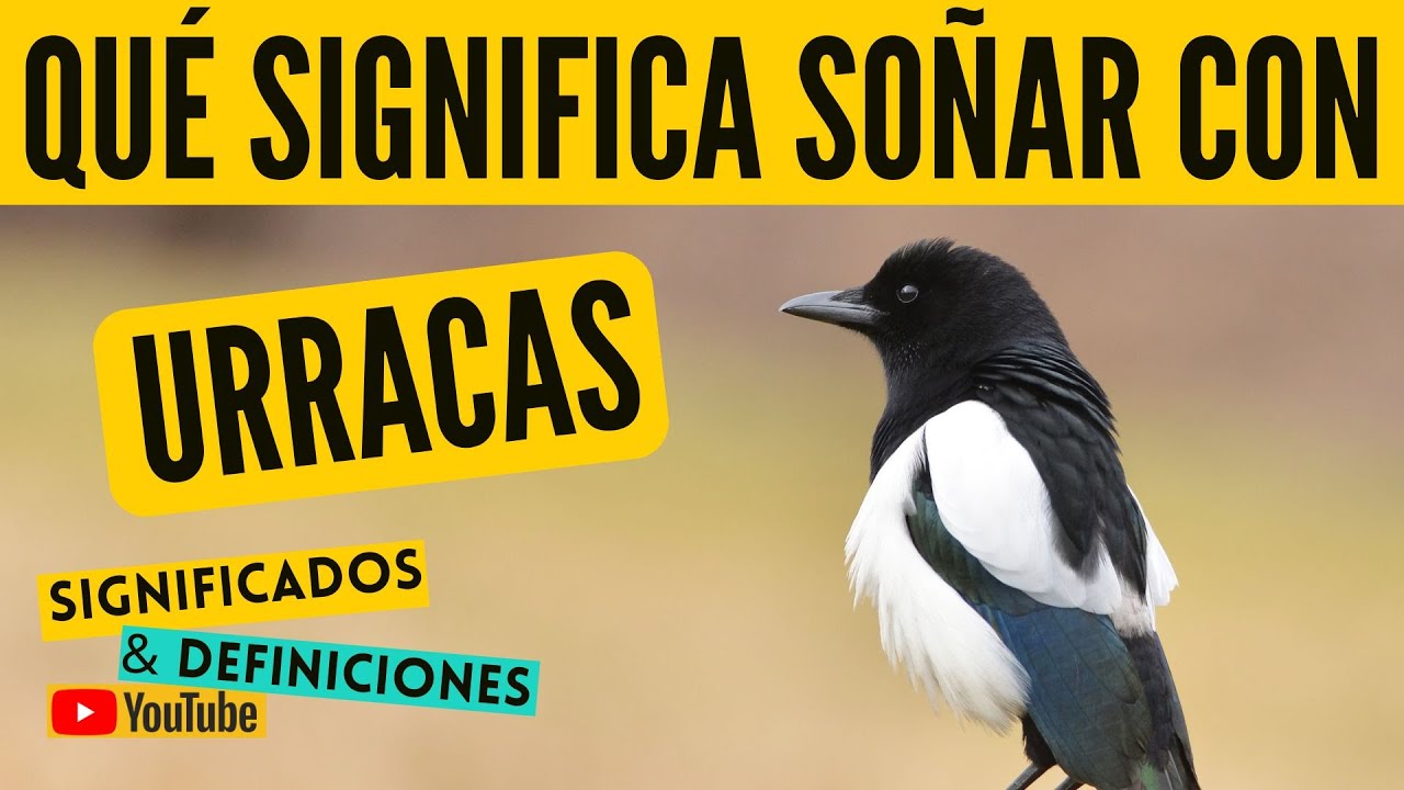 urracas que significa este sueno y su simbolismo