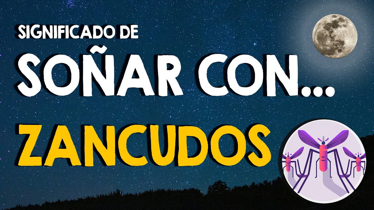 zancudos que significado tiene este sueno