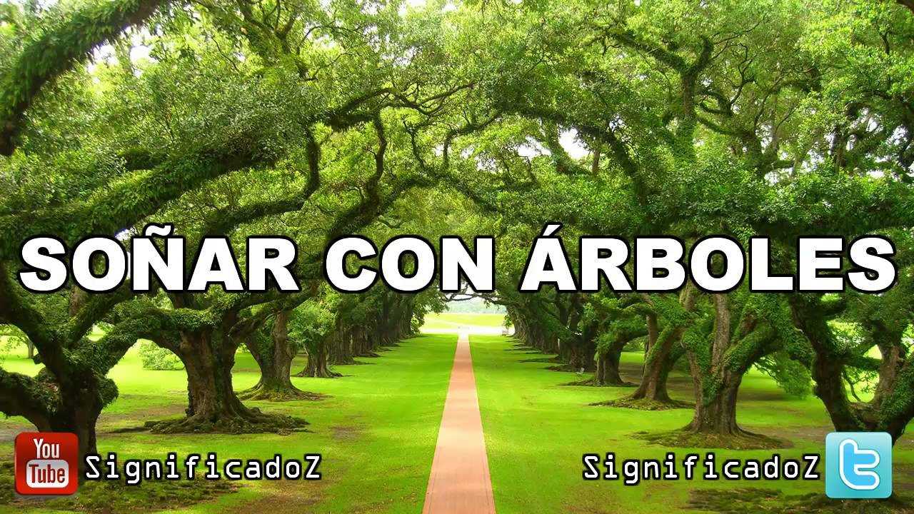 arboles un sueno lleno de vida y conexion con la naturaleza