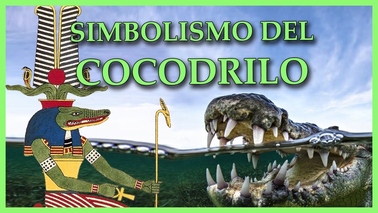 cocodrilos significado y simbolismo