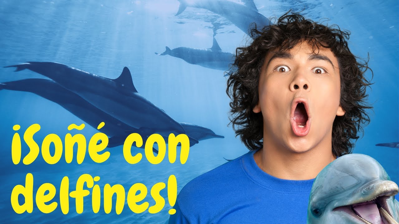 delfines un encuentro magico en el mundo de los suenos