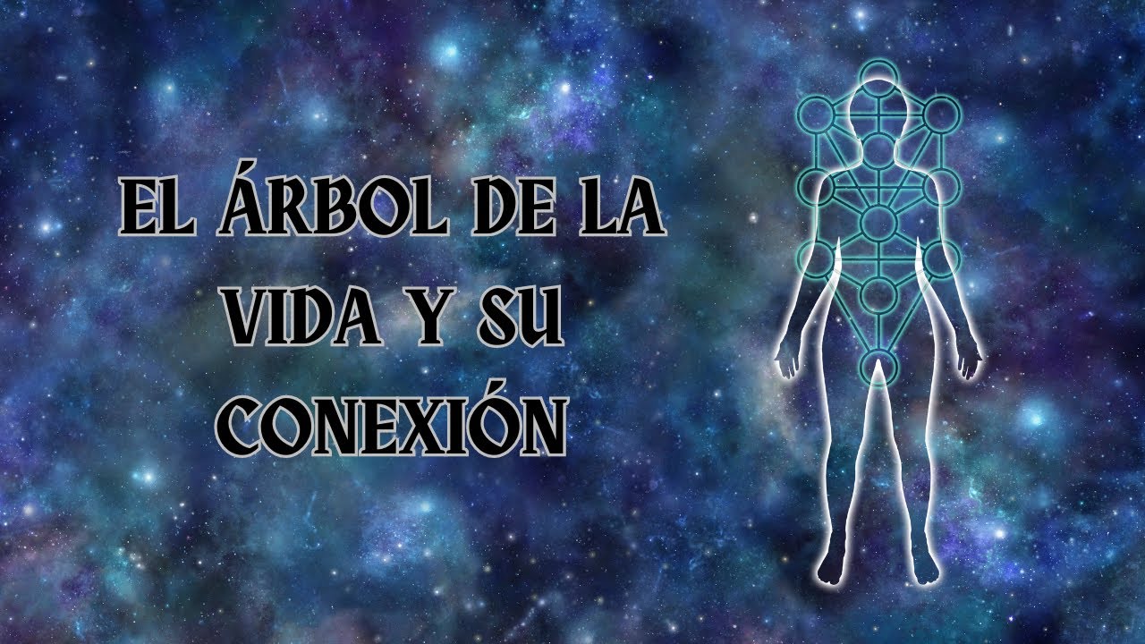 el arbol de la vida una conexion espiritual y renovacion interna