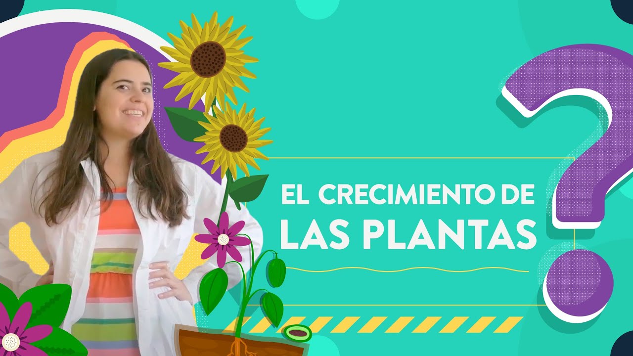 el crecimiento de las plantas