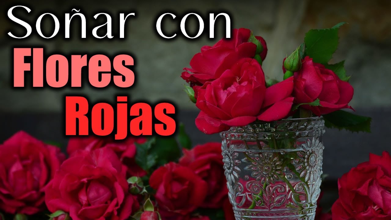 flores rojas un sueno lleno de pasion y amor
