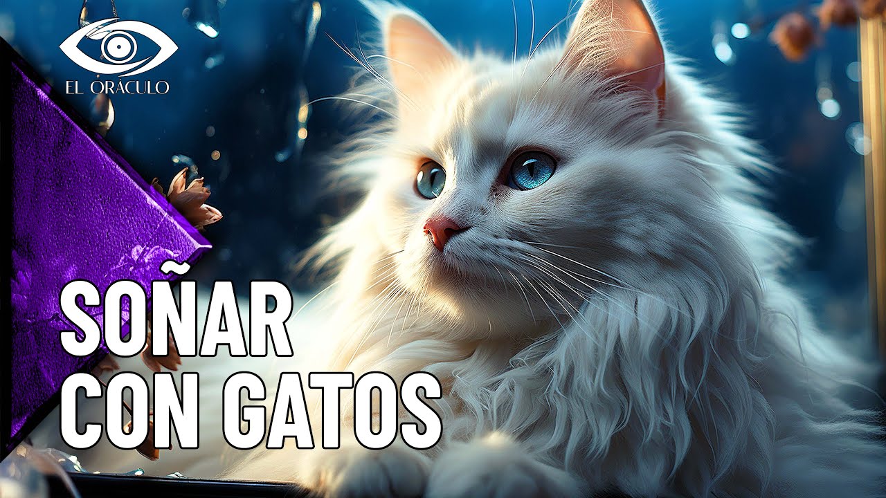 gatos descubre su significado y simbolismo 2