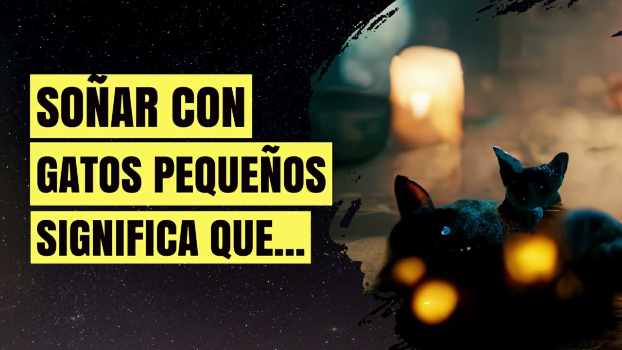 gatos significado e interpretacion de los suenos con gatos