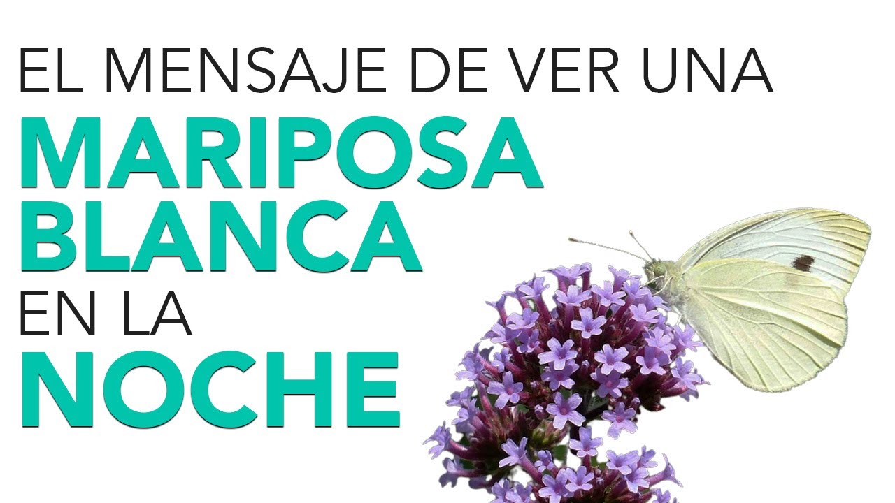 la noche significados y simbolismos