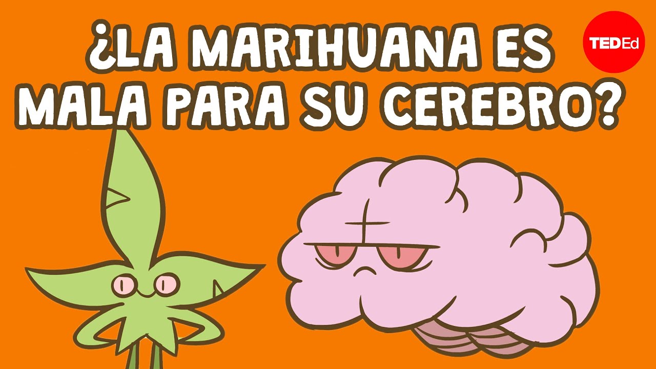 la weed que significa este sueno
