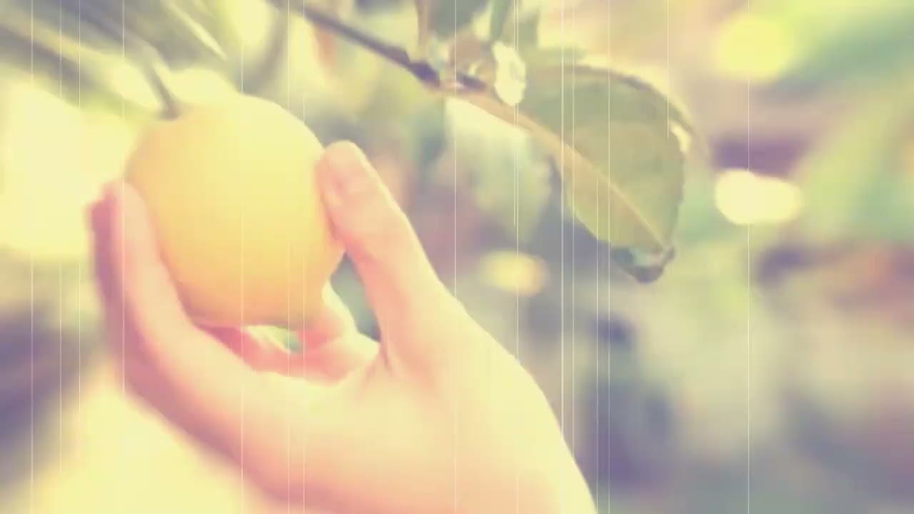 limones verdes que significa este sueno