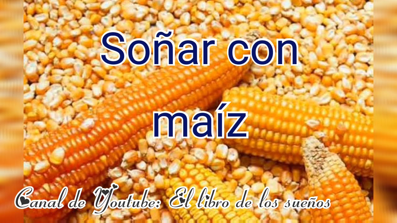 maiz interpretacion y significado de este sueno