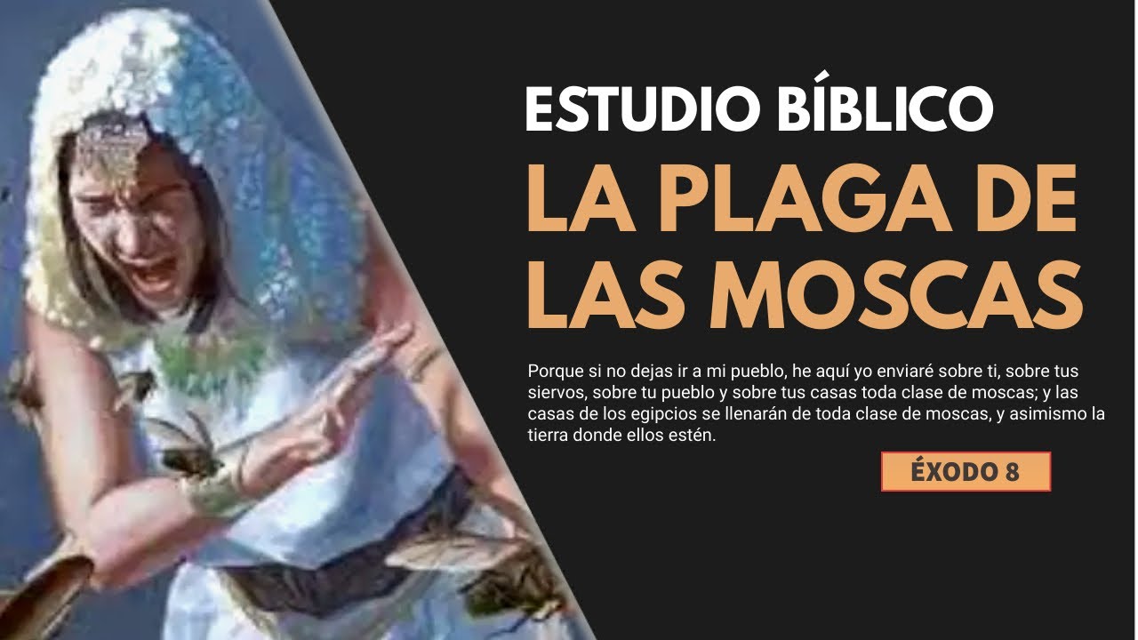moscas segun la biblia que significado tiene