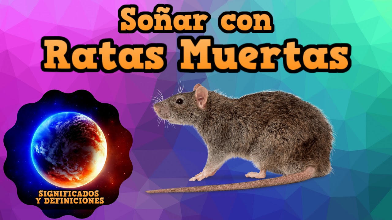 ratas muertas que significa este sueno