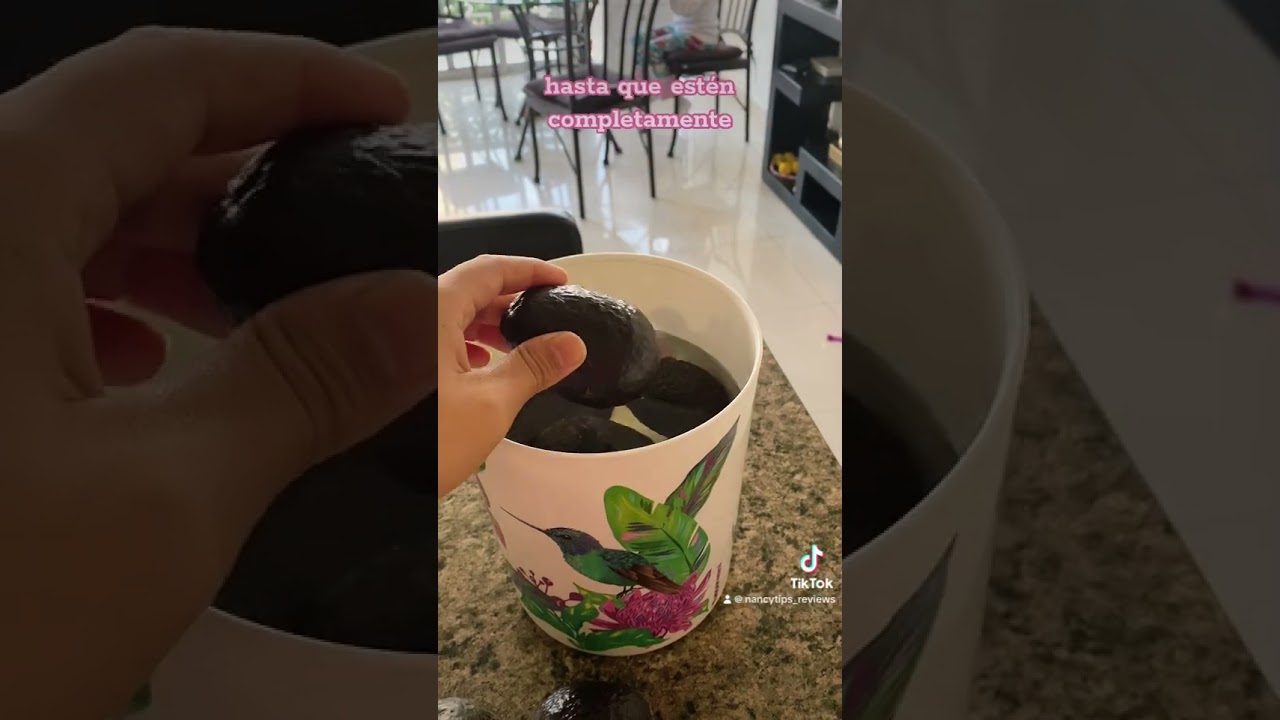 recoger aguacates maduros una senal de abundancia y prosperidad