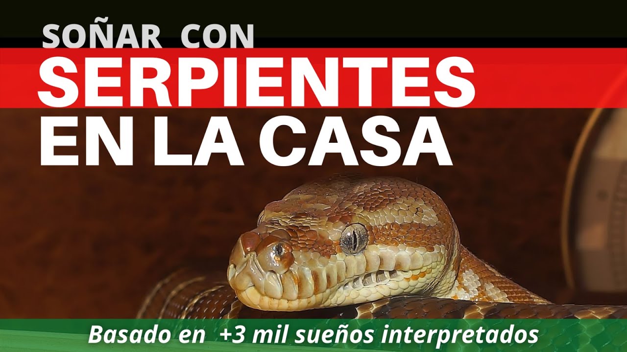 serpientes en la casa que significa este sueno