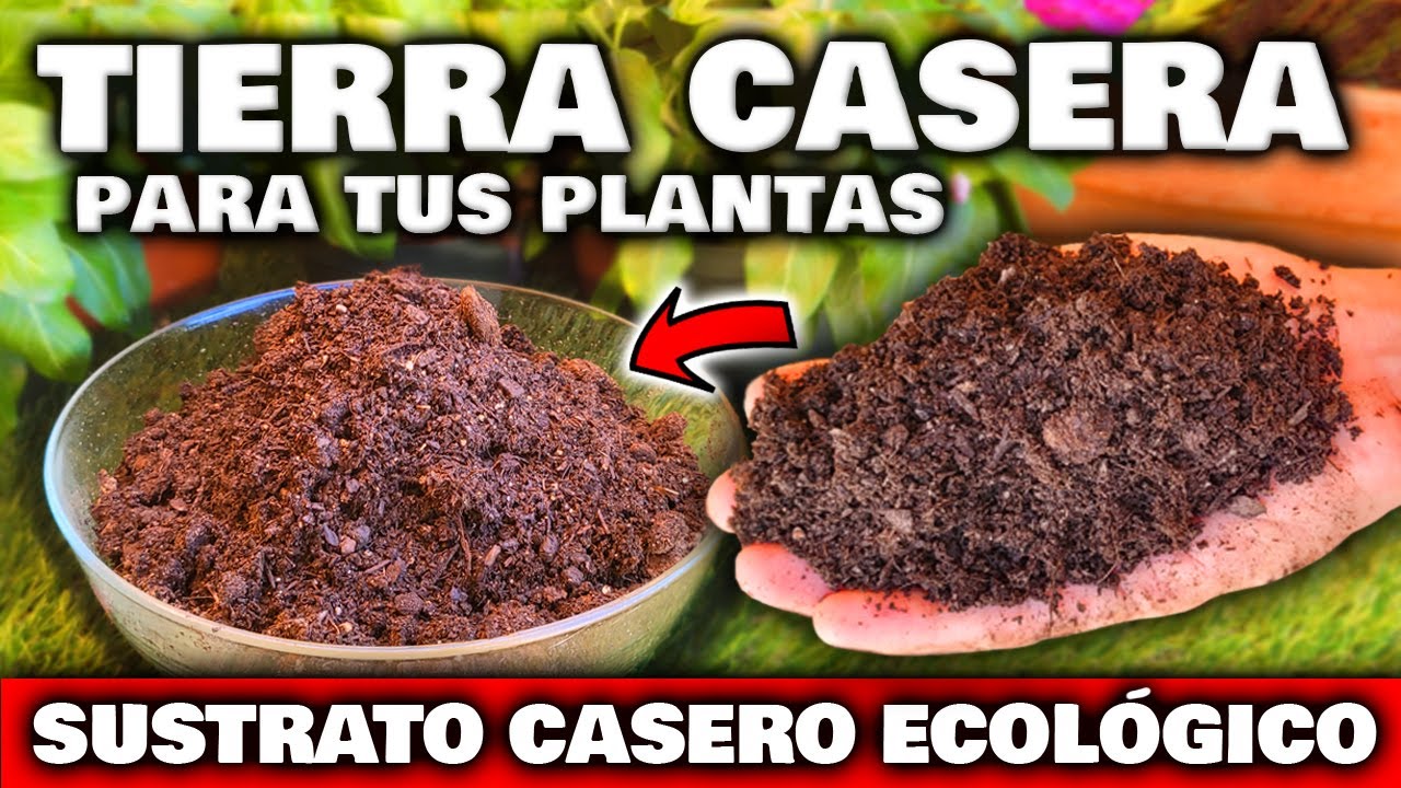 tierra fertil para plantas