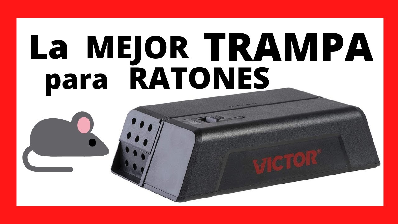 trampas para ratones significado de advertencias y precauciones