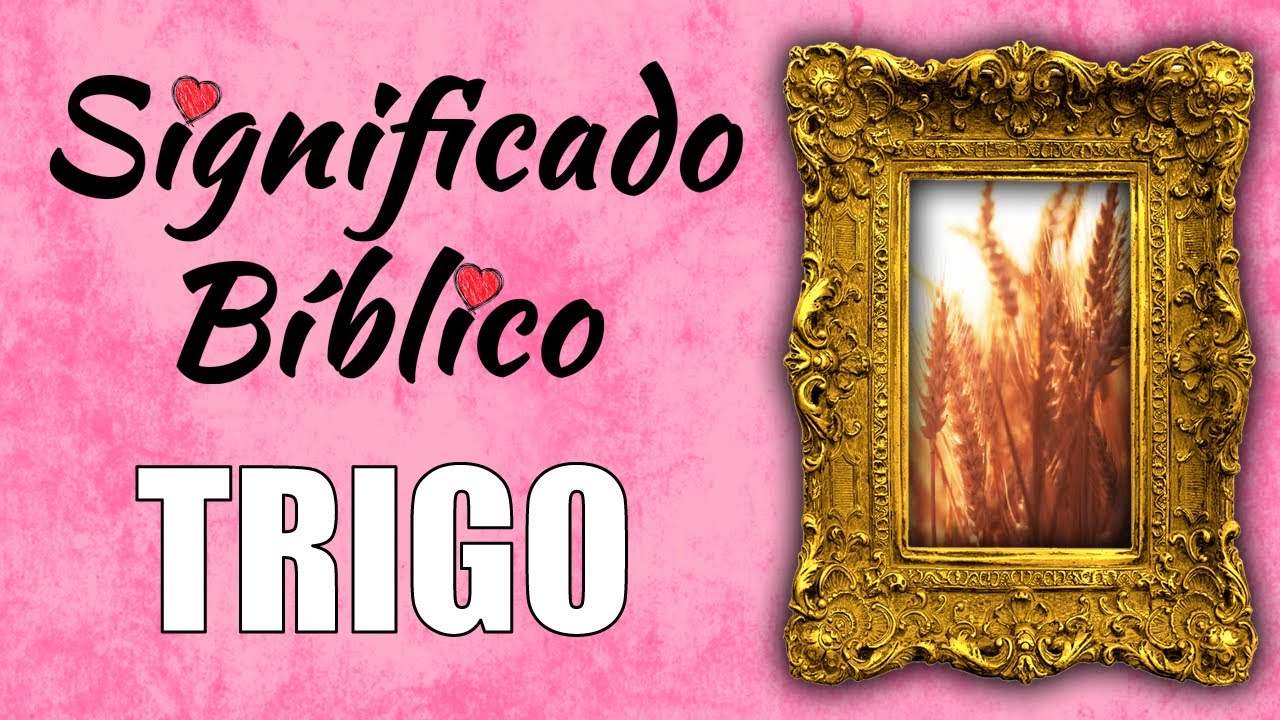 trigo segun la biblia significado e interpretacion