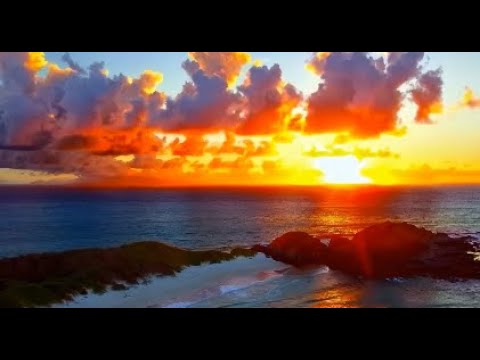 un oasis de tranquilidad y paz